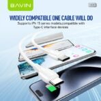 Bavin Type C to  Type C Fast Charging Thicker Data Cable(60W-10FT) - Image 5